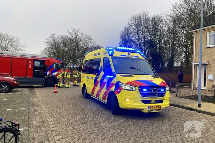 Auto rijdt meters achteruit bosschages in