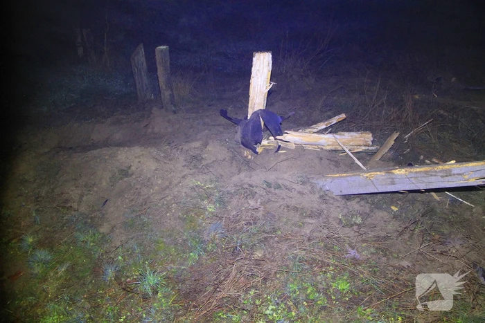 Auto vliegt uit beruchte bocht en belandt op de kop
