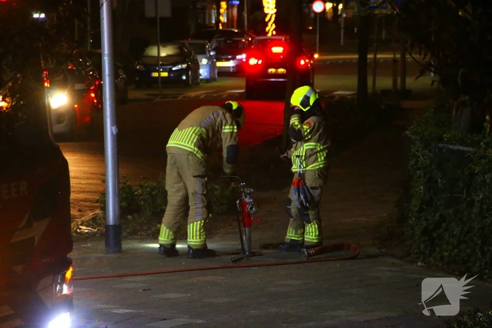 Brandweer blust kerstbomen