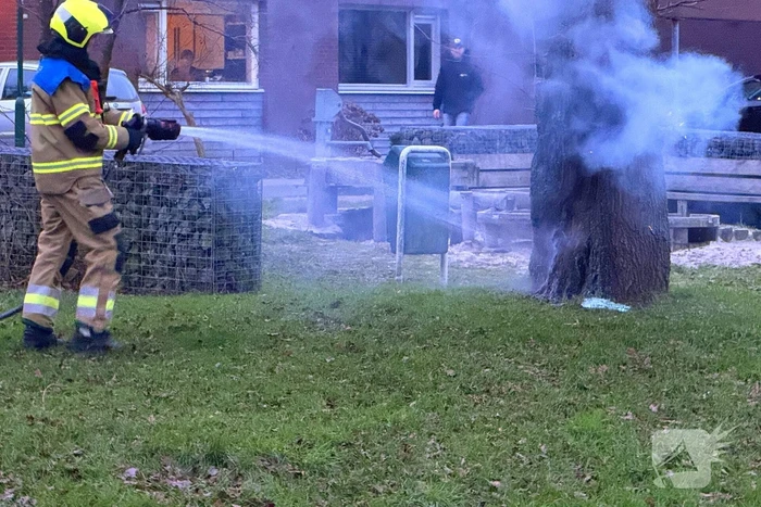 Brand in boom snel onder controle