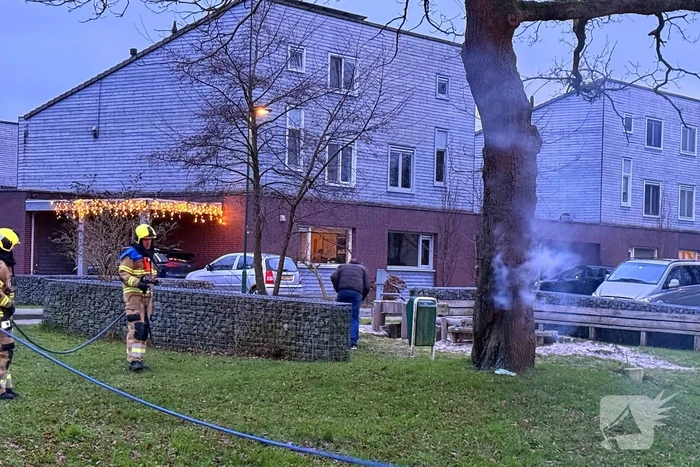 Brand in boom snel onder controle