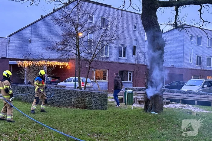 Brand in boom snel onder controle
