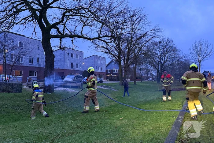 Brand in boom snel onder controle