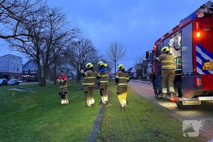 Brand in boom snel onder controle