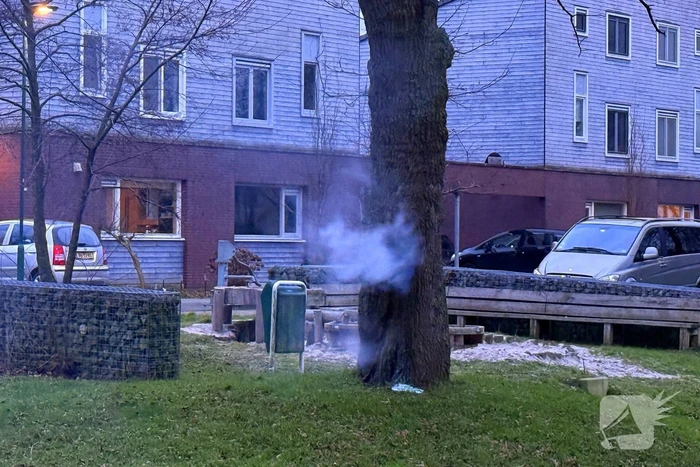 Brand in boom snel onder controle