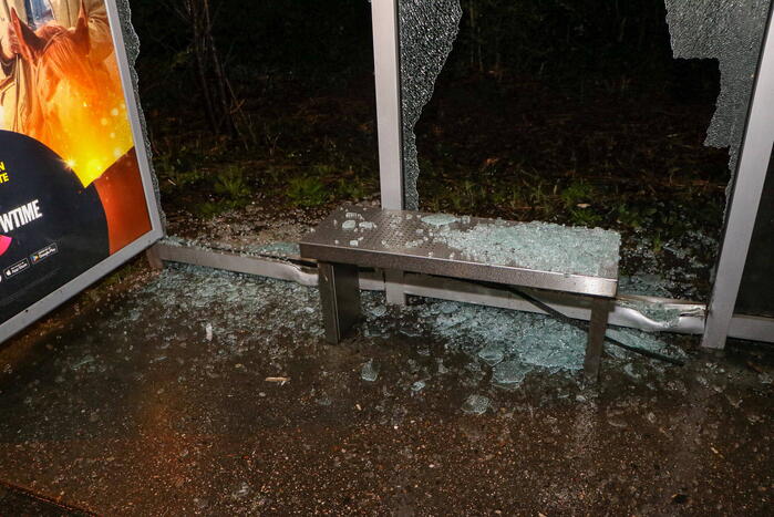 Bushokjes vernield door vuurwerk