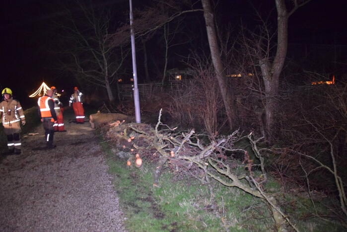Brandweer en hovenier zagen omgewaaide boom in stukken
