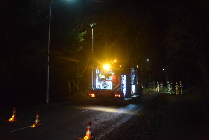 Hoogwerker ingezet bij verwijderen van takken