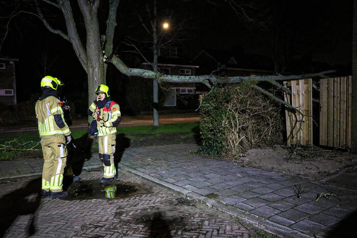 Grote tak breekt af en valt op schutting