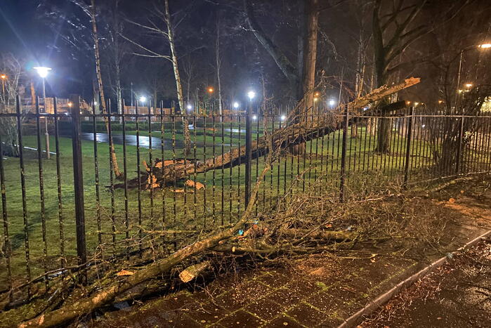 Omgevallen boom valt op hekwerk en blokkeert weg