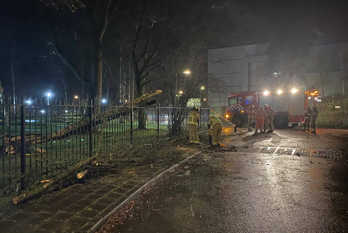 Omgevallen boom valt op hekwerk en blokkeert weg
