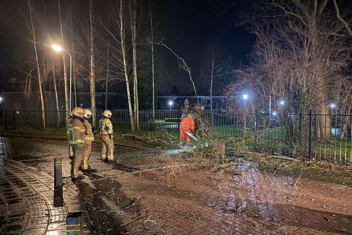 Omgevallen boom valt op hekwerk en blokkeert weg