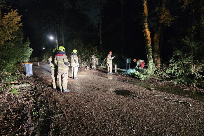 Brandweer verwijdert twee omgevallen bomen