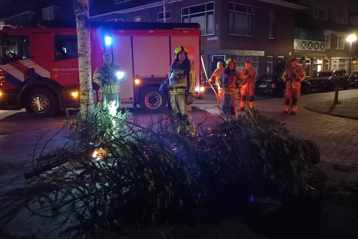 Hugo de Vriesstraat Leiden 112 