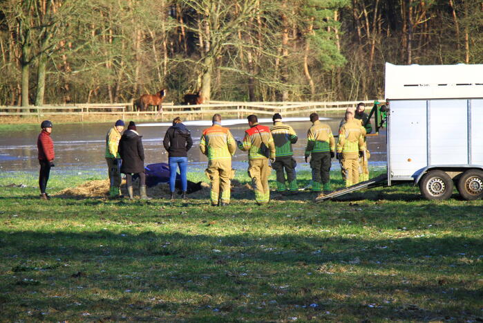 Brandweer ingezet voor een paard in nood