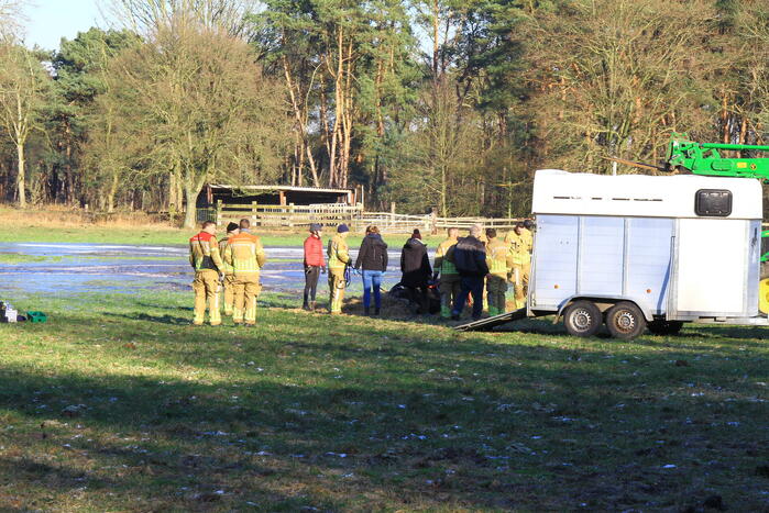 Brandweer ingezet voor een paard in nood