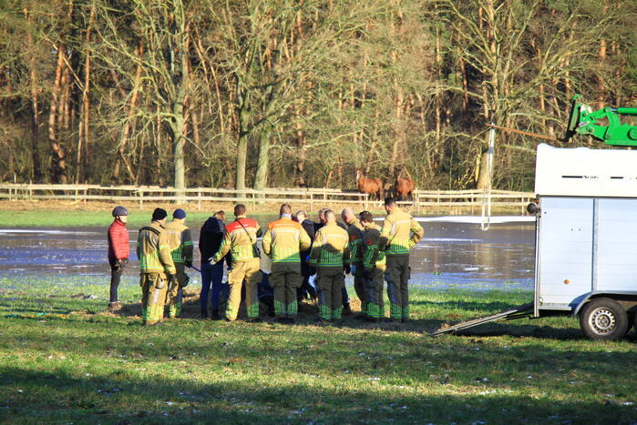 Brandweer ingezet voor een paard in nood