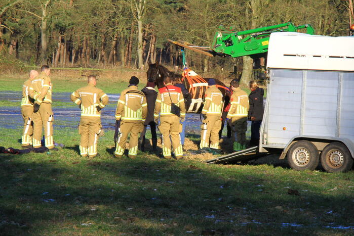 Brandweer ingezet voor een paard in nood