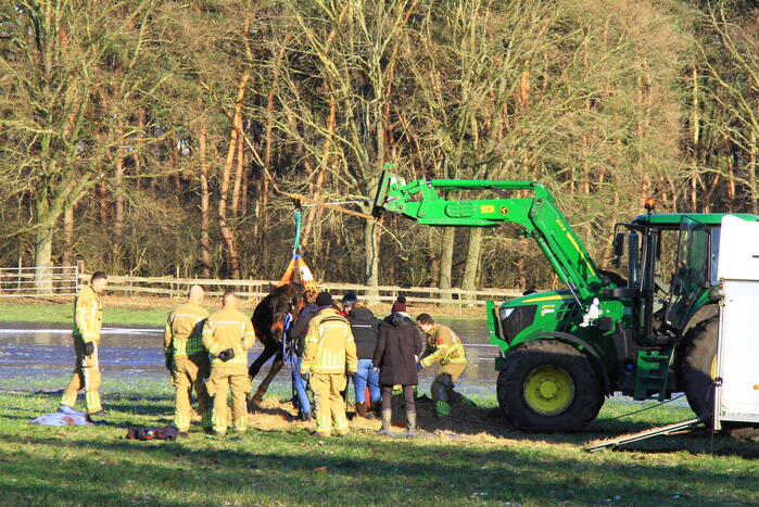 Brandweer ingezet voor een paard in nood