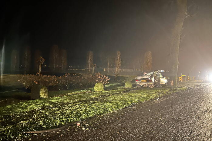 Bestuurder aangehouden na botsing met boom