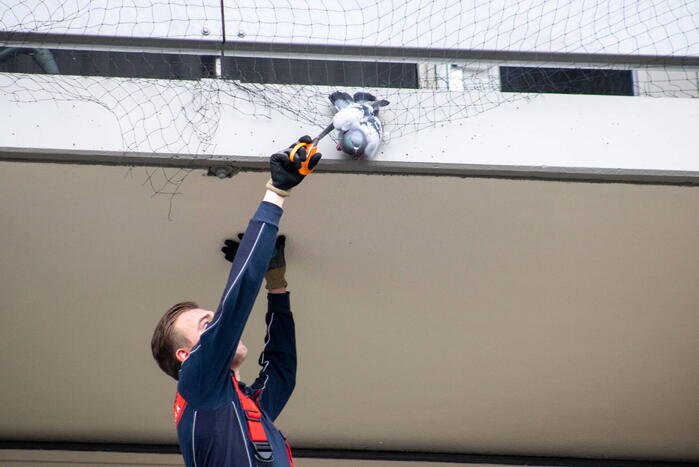 Brandweer redt vastzittende duif