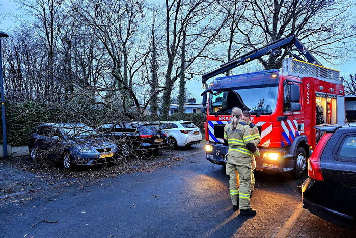 Meerdere auto's beschadigd door omgevallen boom