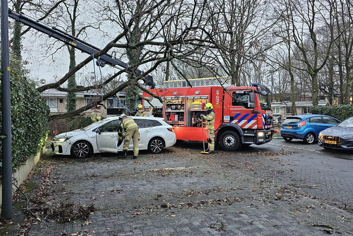 Meerdere auto's beschadigd door omgevallen boom