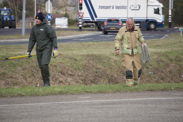 Schaapsweg - N498 112 nieuws Den Bommel 