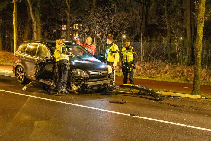 Bestuurder onder invloed botst op boom