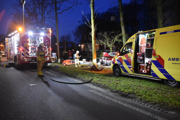 Automobilist ernstig gewond bij botsing met boom
