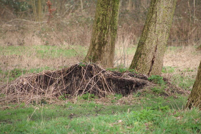 Gouwe bos afgesloten vanwege stormschades