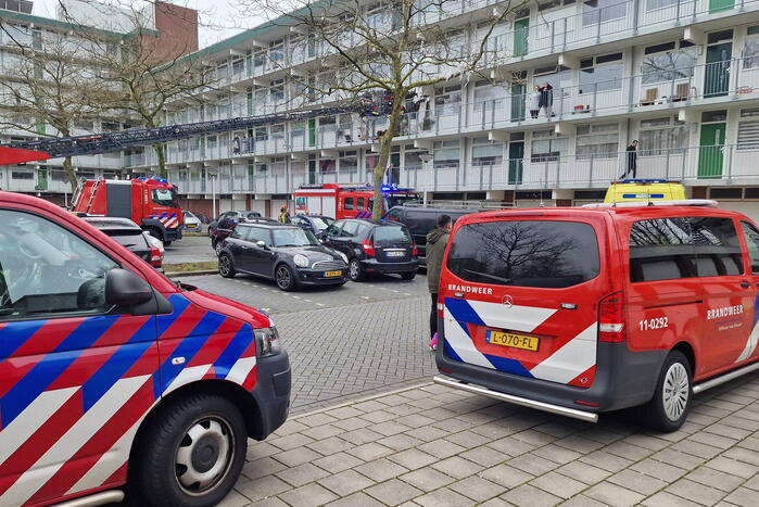 Brand in flatwoning