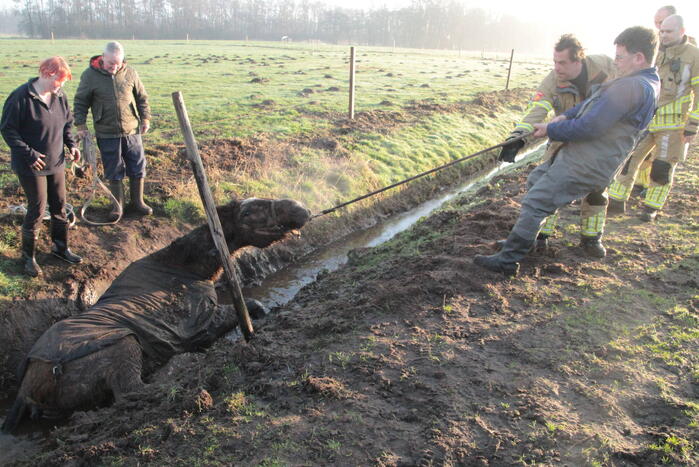 Brandweer ingezet voor een paard in de sloot