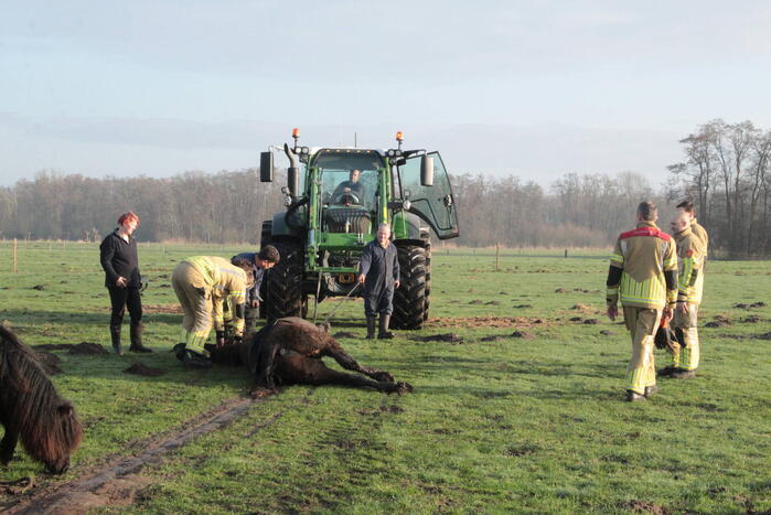 Brandweer ingezet voor een paard in de sloot