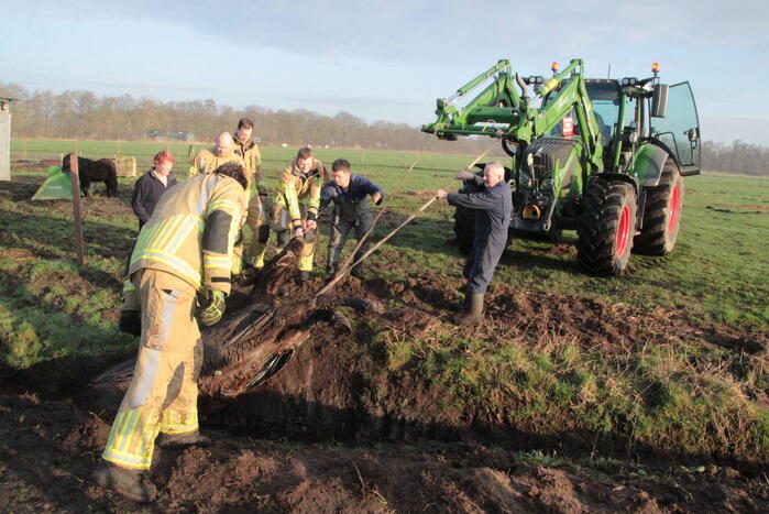 Brandweer ingezet voor een paard in de sloot