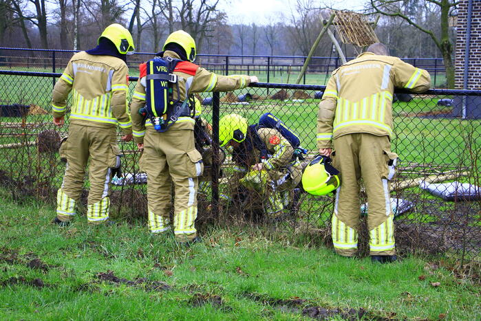 Gasleiding geraakt tijdens planten van bomen
