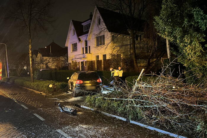 Automobilist rijdt boom en lantaarnpaal uit de grond