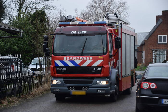 Brandweer ingezet voor paard in put