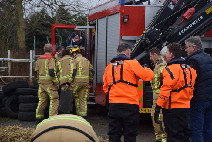 Brandweer ingezet voor paard in put