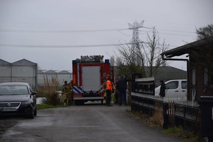 Brandweer ingezet voor paard in put