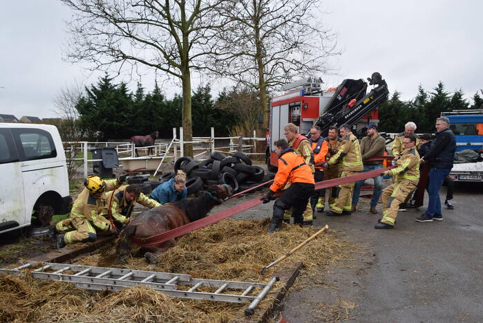 Brandweer ingezet voor paard in put