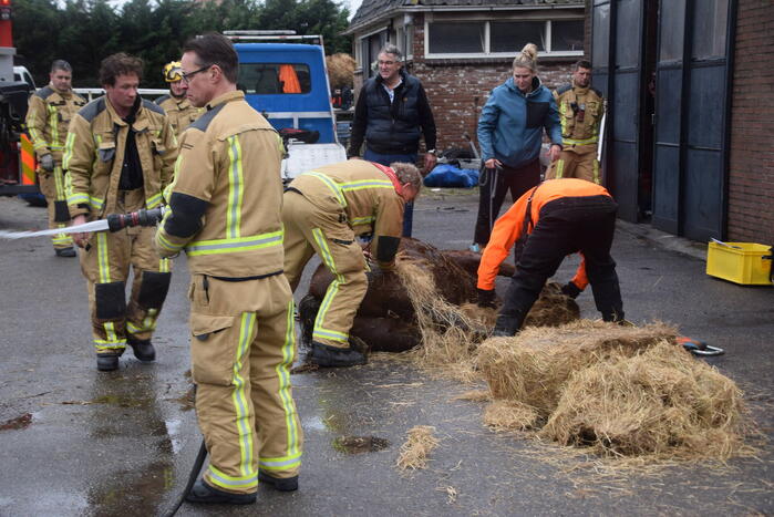 Brandweer ingezet voor paard in put
