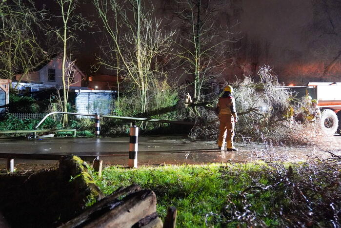 Lantaarnpaal omver door vallende boom