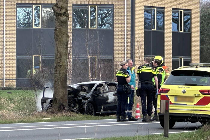 Auto vliegt in brand na frontale botsing tegen boom, bestuurder overleden