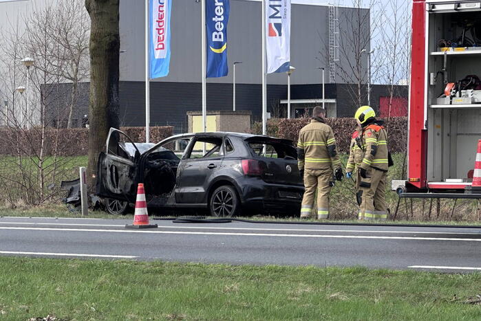 Auto vliegt in brand na frontale botsing tegen boom, bestuurder overleden