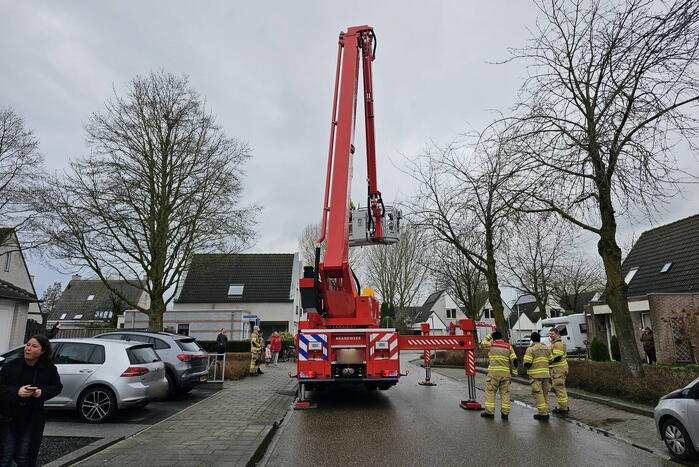 Papegaai Diva gaat ervandoor wanneer brandweer in actie komt