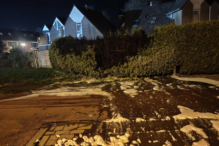 Coopmansstraat 112 meldingen Leeuwarden 