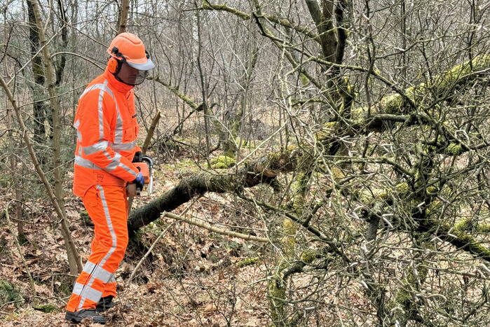 Omgevallen boom verspert weg