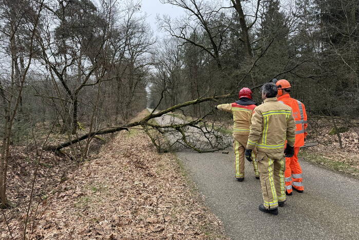 Omgevallen boom verspert weg