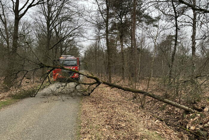 Omgevallen boom verspert weg